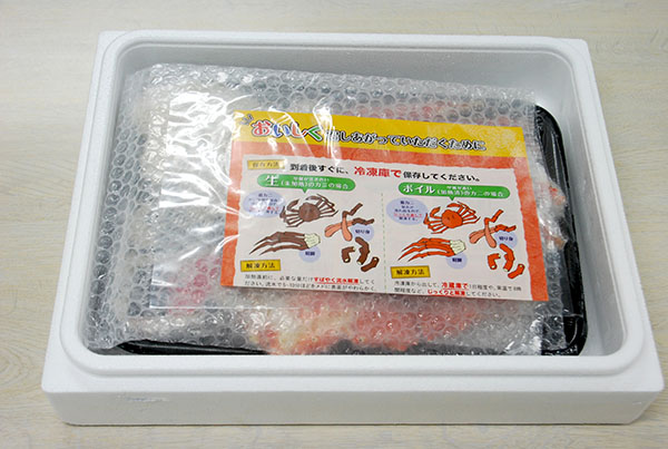 パンフレットの写真